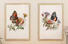 Butterly Prints, Set of 2 Art Prints, Butterflies Wall Art Decor Prints, Floral