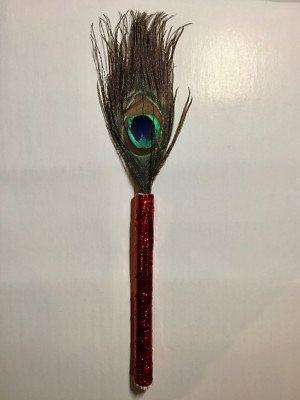 Peacock Feather on colorful stick good luck and peace to have on entry door