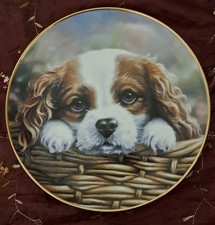 DANBURY MINT 'TAKE ME HOME ' CAVALIER KING CHARLES SPANIEL PLATE BY PAUL DOYLE