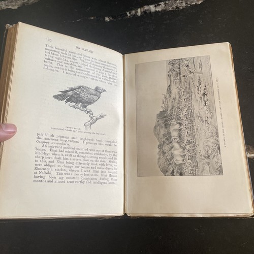 On Safari Big Game Hunting in East Africa Abel Chapman 1908 1st Edition - Picture 6 of 16