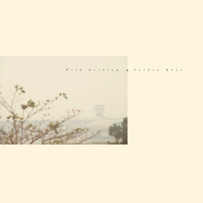 Wild Nothing - Golden Haze (Vinyl 12'' - 2010 - US - Original)