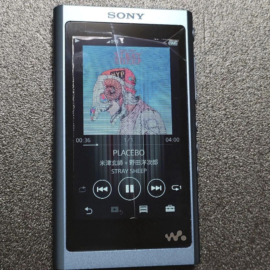 SONY NW-A55 Walkman blue High-Reso Audio Player Used | eBay
