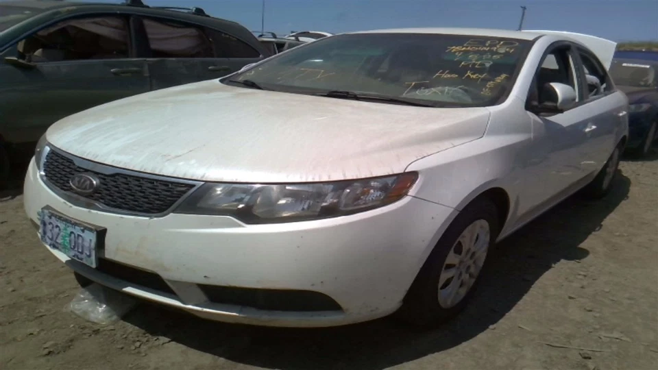 Control de temperatura con CA manual se adapta a 10-13 FORTE 30042926 Foto 4 de 4