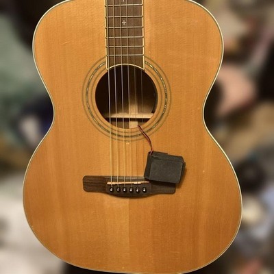 Greg Bennett Acoustic Electric Guitar With Soft Case, Natural Sound