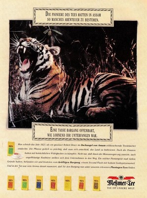 3w23976/ Reklame / Werbung aus 1993   Meßmer-Tee