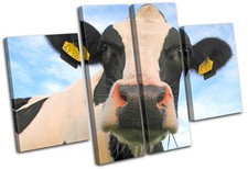 Daisy the Cow Animals MULTI CANVAS WALL ART Picture Print VA