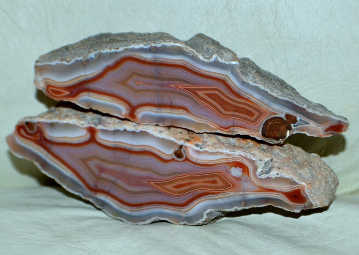 Condor Agate for sale | eBay
