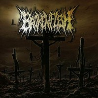 Broken Flesh - Cd - G4Z