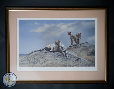 Cheetahs By Spencer Hodge Signierter Gerahmter Druck 20/425 Restful Moment 1996