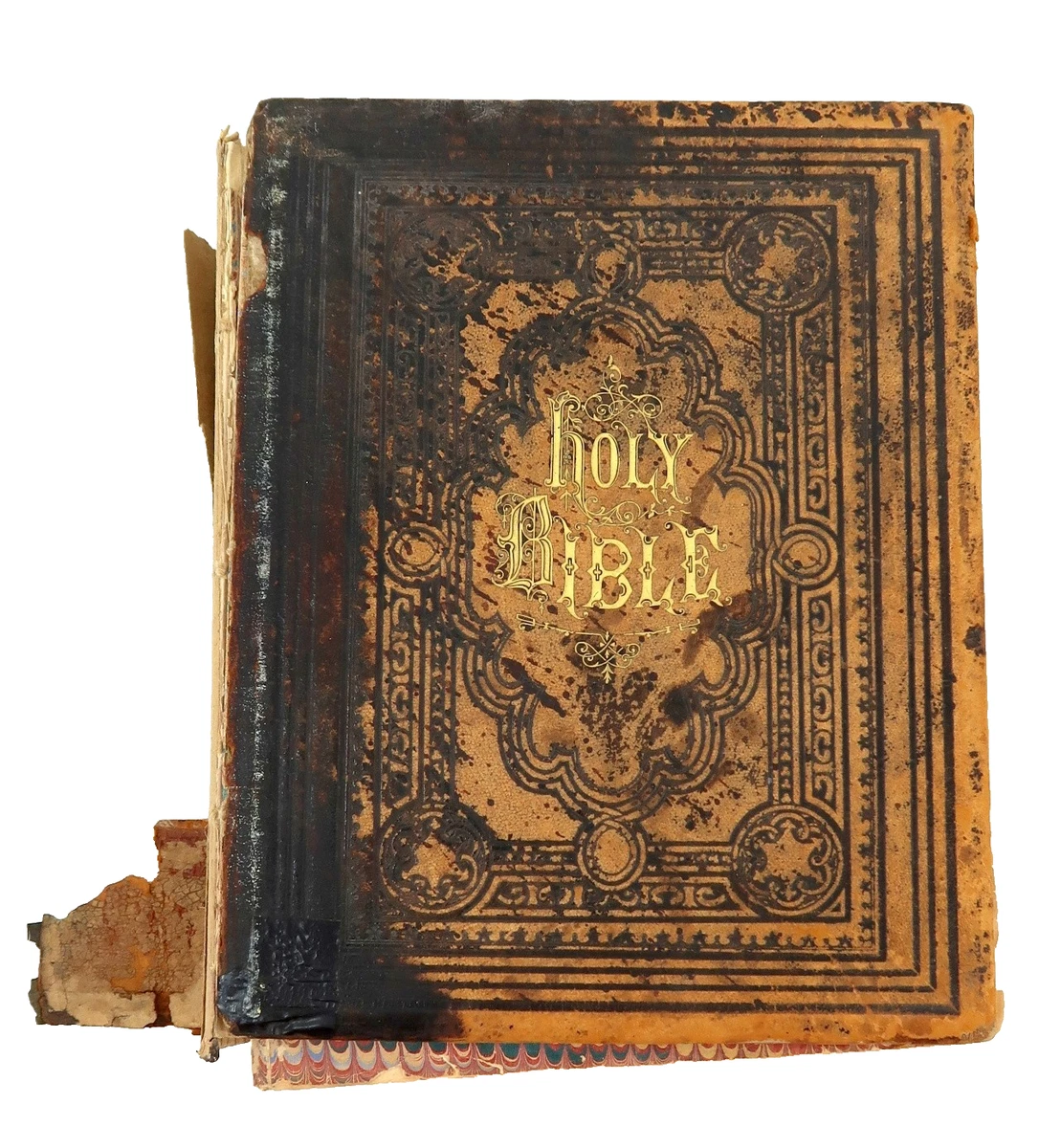 Family Bible for sale - eBay