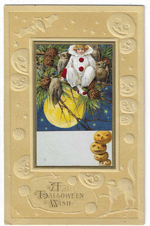 Winsch? Halloween Postcard Girl Sitting in Tree with Owls
