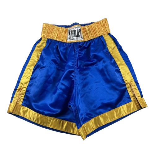 Everlast Boxing Trunks Shorts Mens Large Satin Training Gym | eBay