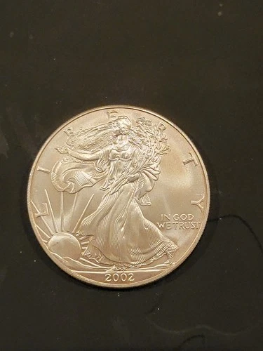 Better Date 2002 American Silver Eagle 1 Troy Oz .999 Fine Silver *245