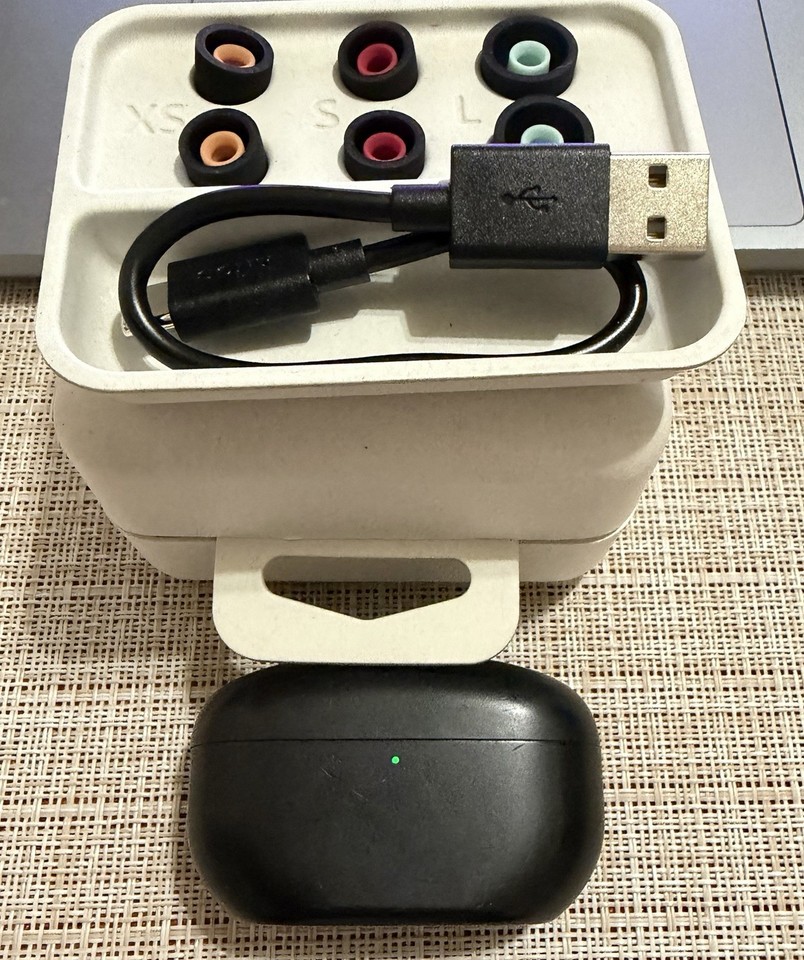 Sony WF-1000XM5 Auricolari Wireless con Cancellazione del Rumore Nero - Usati