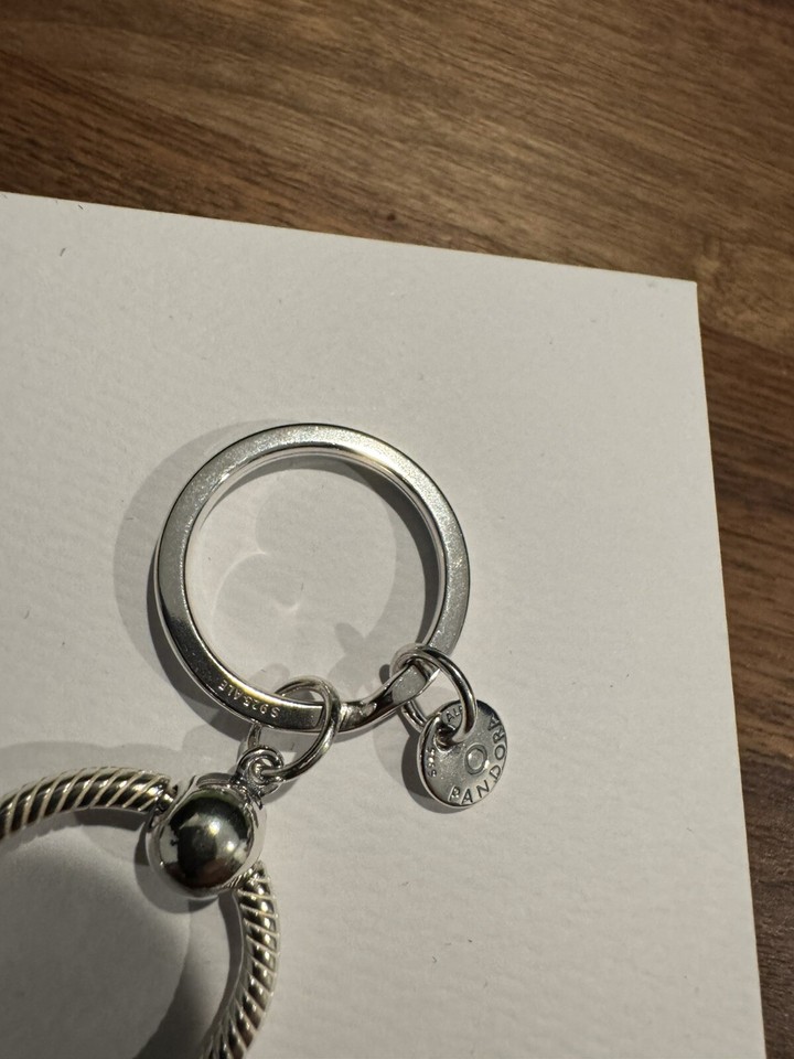 Authentic Pandora Moments Charm Key Ring Holder 399566C00 eBay