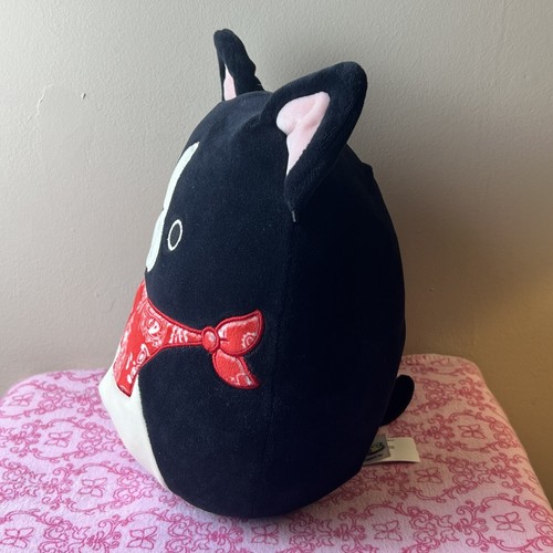 Squishmallow 8 Inch Teddy the Boston Terrier Dog w Red Bandana Plush Pre Owned | eBay