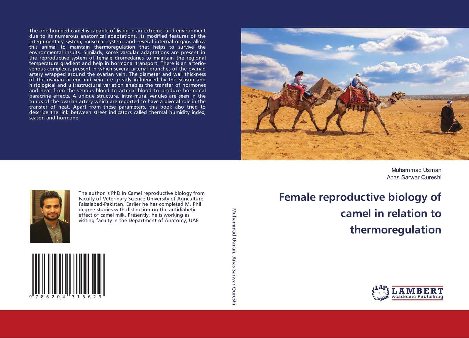 Thumbnail - Female Reproductive Biology Of Camel In Relation To Thermoregulation |