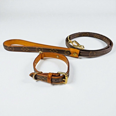 LOUIS VUITTON Baxter PM Hundehalsband & Leine Kleiner Hund TH1027 TH0097 Gebr...