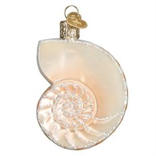 Old World Christmas Nautilus Sea Shell Blown Glass Ornament 12150 FREE BOX New