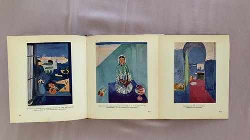 Matisse Biographical and Critical Study Jacques Lassaign Limited Hardcover - Picture 9 of 12