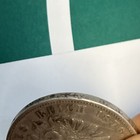 Bild 8 von 8