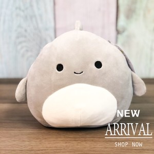 gordon the shark squishmallow