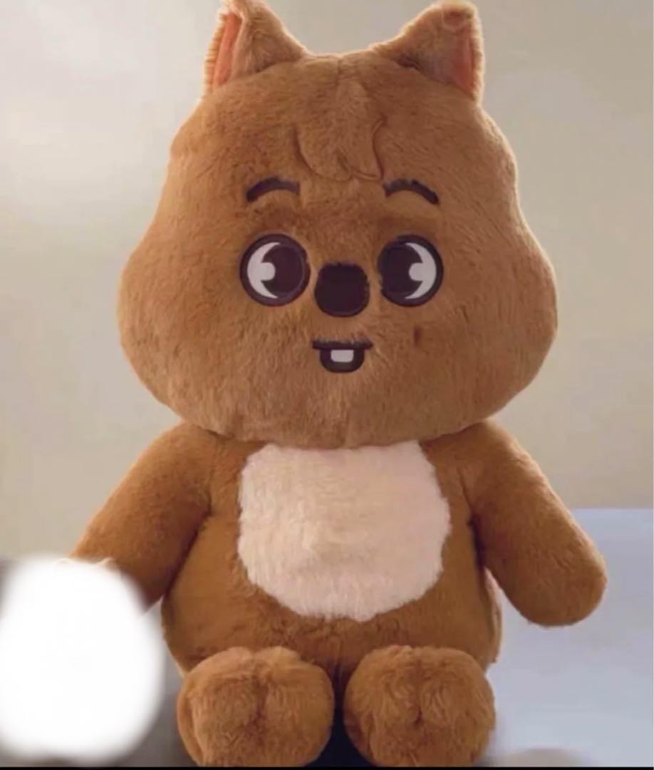 HAN QUOKKA StrayKids SKZOO PLUSH テディベア StrayKids SKZOO Han Han Quokka Teddy Bear | eBay