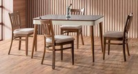 Esszimmer Set Modern Stuhl Set 4X StüHle Essgruppe Garnitur LehnstüHle Luxus