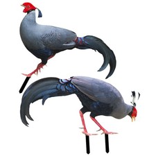 2 Pcs Simulation Chicken Insert Outdoor Pheasant Stakes Decorative