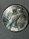 1926 P  PEACE  Dollar  GEM BU+ REGULAR $1400 ,NOW SALE PRICE $450  GEM BU PRICE — photo 4
