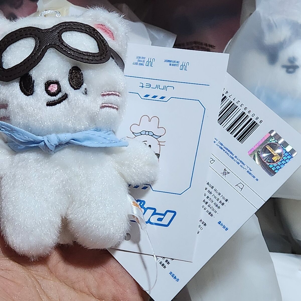 STRAY KIDS - SKZOO - 10CM PLUSH [PILOT: FOR ] – KAEPJJANG SHOP (캡짱 숍)