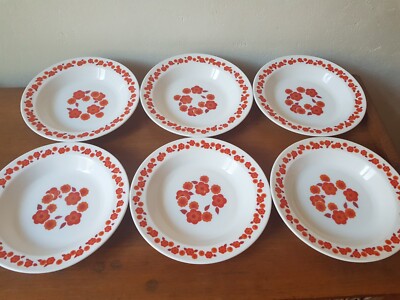 6 Hohlkammerplatten Arcopal Dekor LOTUS