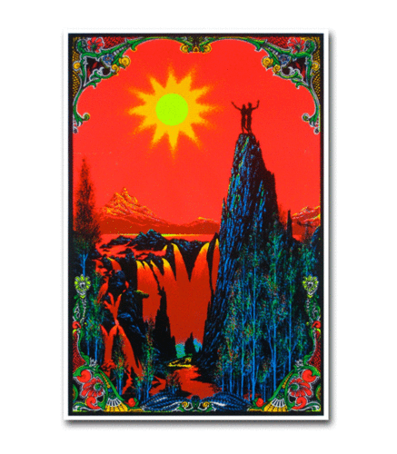 GARDEN OF EDEN - BLACKLIGHT POSTER - 23x34 FLOCKED TRIPPY 1892 | eBay