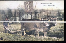 CORREZE LABOURAGE 799 RECOLORED