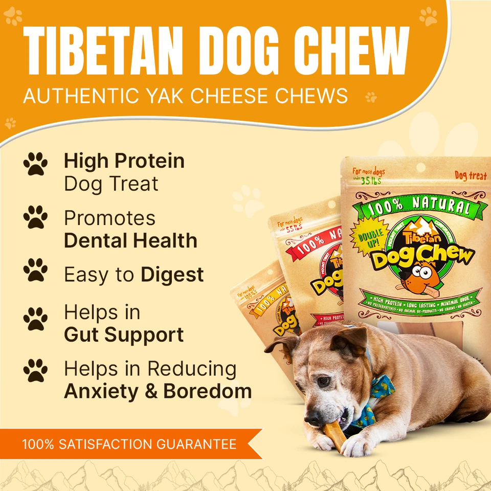 Himalayan Yak Cheese Dog Chew for Small dogs - 5pc, Natural & Healthy Dog Treats - Image 4 of 4