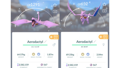  Shiny (Schillernd) Aerodactyl wearing Satchel Pokemon GO  Exchange All Options