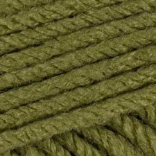 Stylecraft Special CHUNKY Knitting Wool Yarn 100g - 1065 Meadow
