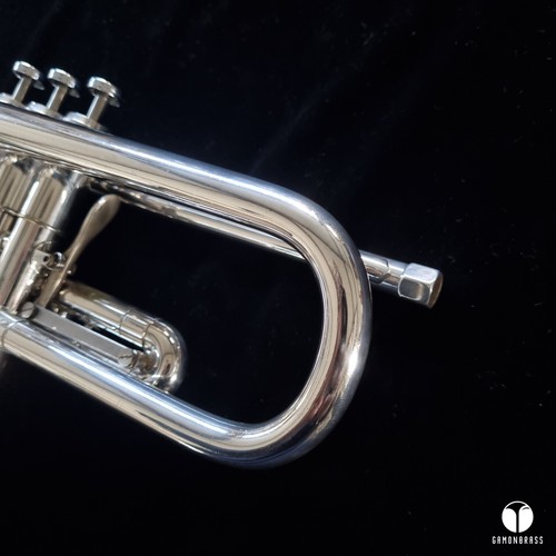 Early Getzen Eterna Severinsen trumpet case mouthpiece GAMONBRASS - Picture 14 of 19