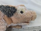 Bild 7 von 12