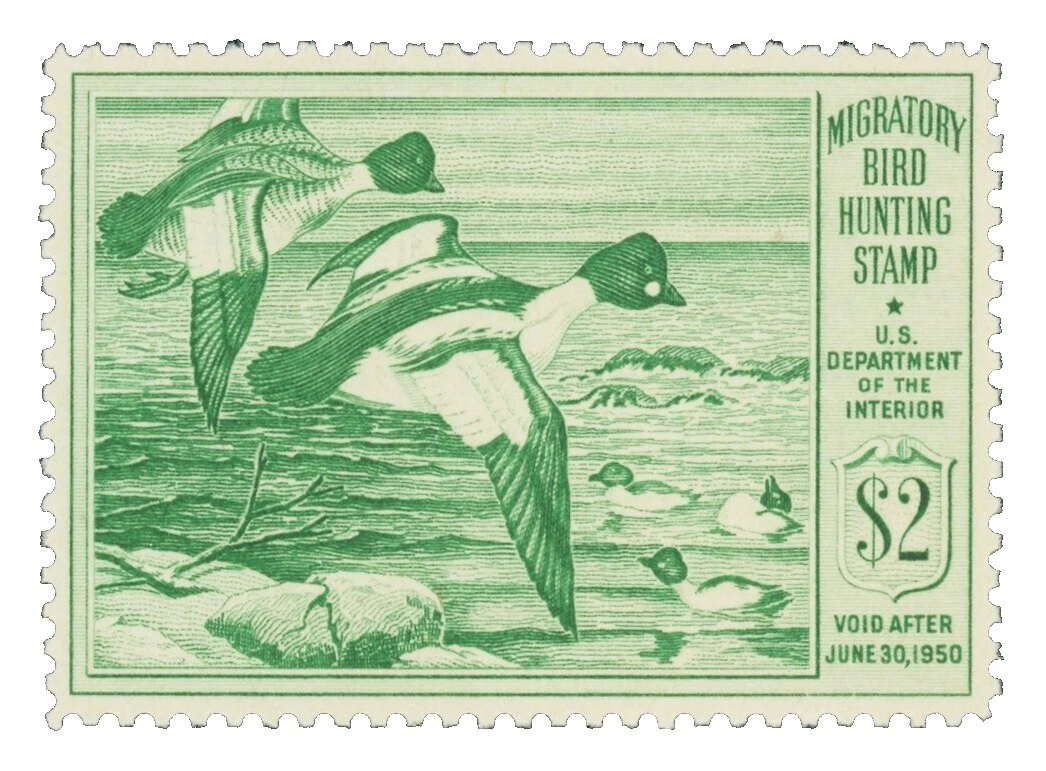 Original Gum Superb Ducks United States Stamps