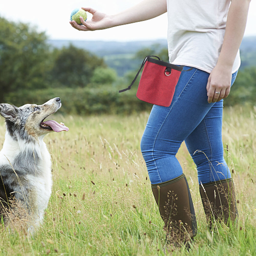 Pet Supplies Outdoor Training Pocket Multifunctional Waist Pouch Dog