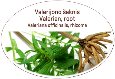 Baldrianaroot officinalis Gesunder Tee / Für Nervensystem / Migräne / Herz-Kreislauf