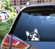 Cute Peeking Cat 5 White Vinyl Graphic Decal Car Truck Windows Laptop Cute Peeking Cat 5 White Vinyl Graphic Decal Car Truck Windows Laptop