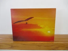 Complete 500 Piece 1981 Springbok puzzle. Free Spirit.