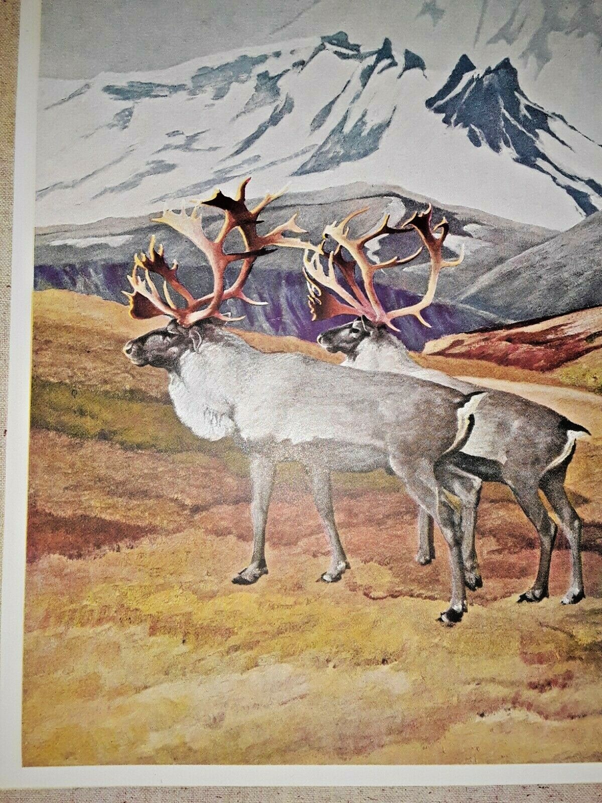 Bild 7 von 10