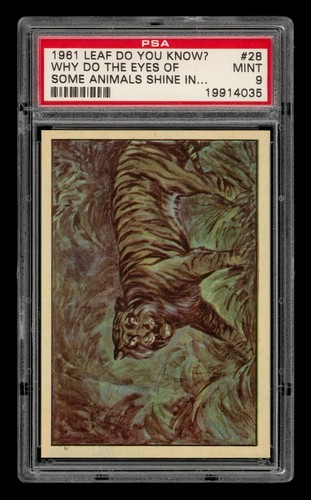 1961 Leaf Do You Know? Set-Break # 28 Why Do The Eyes Of Some Animals PSA 9