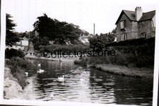 1955 South Pool  Devon  Ducks On The pond Original  Photo 3.2x2.2 In