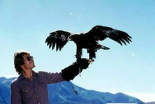 John Denver With an Eagle on His Arm 4x6 PHOTO PRINT