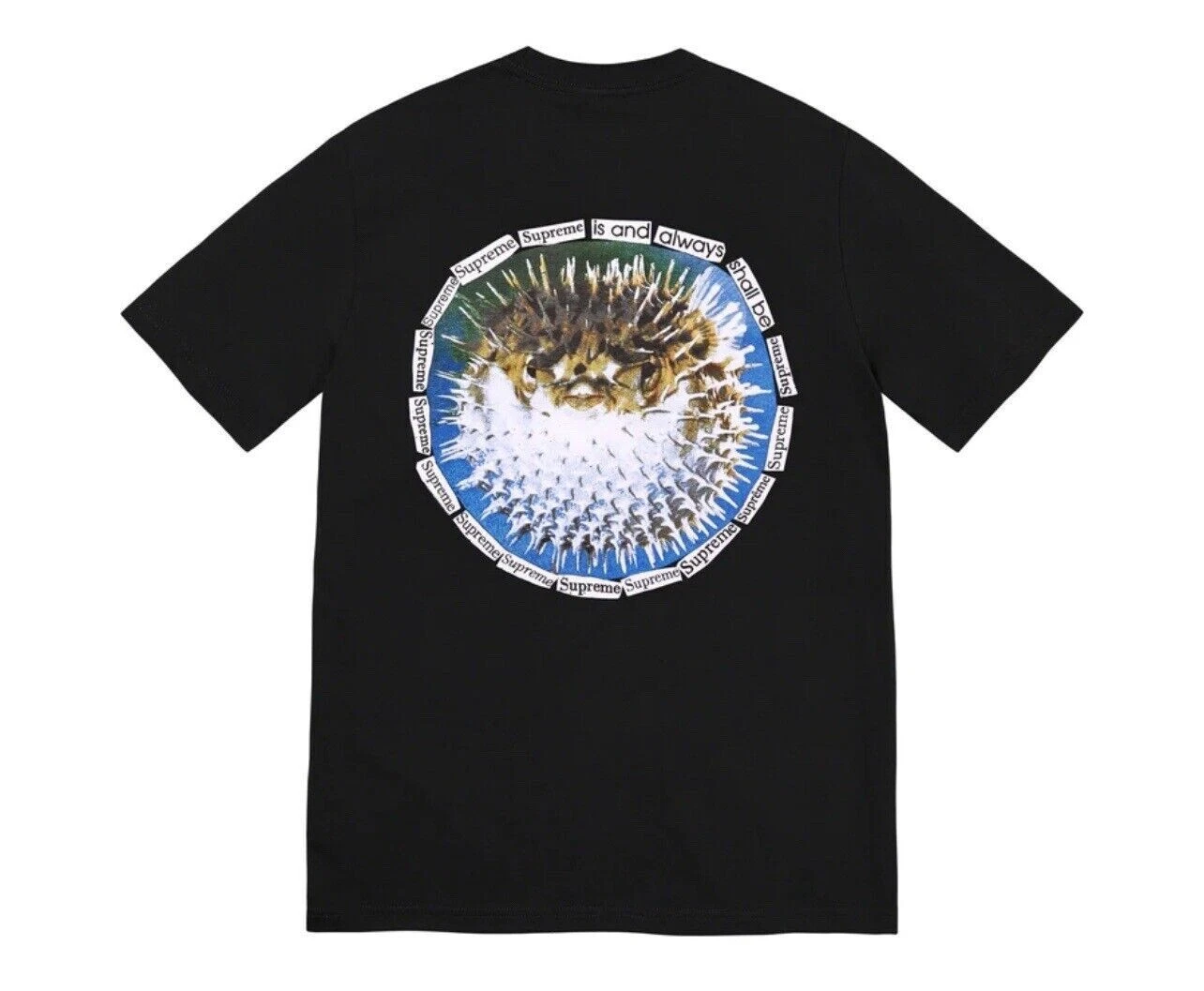 Tee shirt Supreme Blowfish noir taille XXL SS23 FLAMBANT NEUF SCELLÉ Weirdo Dave