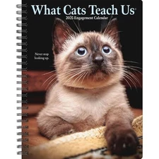 Willow Creek Press, What Cats Teach Us 2025 Engagement Planner